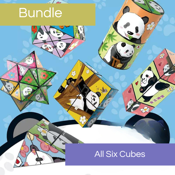 Magic Cube Panda Puzzle